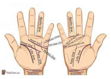 Palm Reading Guide: How To Read Palms And Understand Your Personality | YourTango Hand Lines Meaning, How To Read Palms, Palm Lines Meaning, Palm Reading Lines, Palm Reading Charts, Palmistry Reading, Palm Lines, Reading Guide, Palm Reader