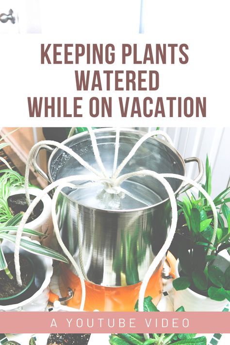 Self Watering Ideas For Potted Plants, Plant Water Dripper Diy, Wick Watering System, Water Wicking For Plants, Self Watering Plants While On Vacation, How To Water Plants When On Vacation, Diy Plant Watering System, Automatic Watering System For Plants, Diy Plant Waterer