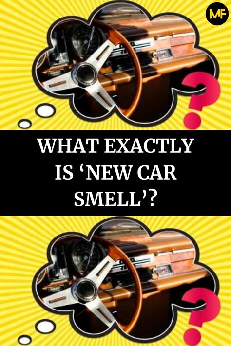 What Exactly Is ‘New Car Smell’? New Car Smell, Maintenance Checklist, Car Smell, Car Restoration, Room Smells, Diy Car, Car Maintenance, New Car, Air Fresheners