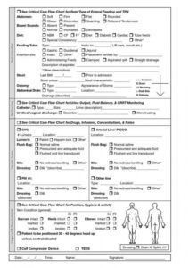 Free Nursing Assessment Documentation Template PDF Example - Kelitbanganwonogiri Nursing Students, Nursing Documentation Examples, Nursing Documentation, Individual Education Plan, Nursing Assessment, Michael Thomas, Med Surg, Instructional Strategies, Learning Goals