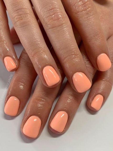 short peach nail design Short Nails Shellac Summer, Pretty Nails For The Beach, Orange Summer Gel Nails, Gel On Natural Nails Short Summer, Neon Peach Nail Polish, Gel Nails No Design, Peach Natural Nails, Short Nails Peach Color, Dip No Tip Nails