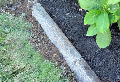 Cement Garden Edging-installed edging Creative Landscape Edging, Cement Garden Edging, Flowerbed Paver Edging, Poured Concrete Edging, Diy Concrete Border Edging, Dyi Patio, Pavers As Edging Garden Beds, Poured Concrete Flower Bed Edging, Timber Edging