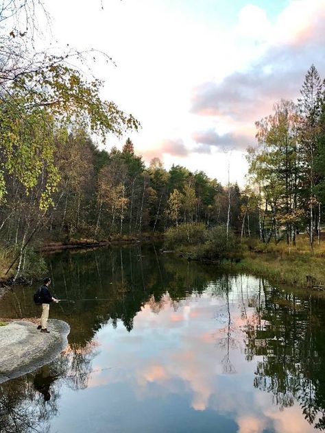 Forest Lake Aesthetic, Sweden Forest, Forest Project, Landscape Painting Tutorial, Forest Photos, Forest Hill, Outdoor Gardens Design, Beautiful Forest, Lake Forest