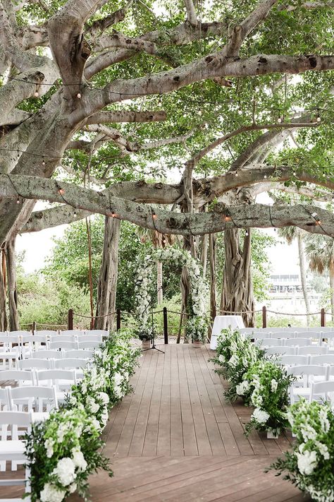 Sage Green Wedding Venue Decorations, Wedding Over Water, Wedding Venues Sage Green, Botanical Garden Wedding Florida, Wedding Venue Sage Green, Outdoor Wedding Florida, Sage Green Venue Wedding, Sage Wedding Aesthetic, Sage Green Wedding Venue Ideas