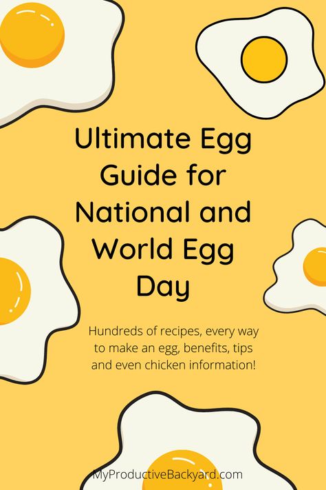 This Ultimate Egg Guide for National and World Egg Day has hundreds of recipes, every way to make an egg, benefits, tips and even chicken information! World Egg Day, National Egg Day, Baked Egg Custard, Egg Yolk Recipes, Keto Egg Recipe, Keto Deviled Eggs, Keto Egg Fast, Ways To Cook Eggs, Egg Benefits