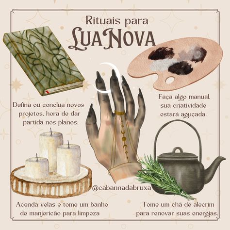 #dicadabruxa #bruxaria #bruxa #bruxanatural #bruxarianatural #magia #espiritualidade #paganismo #ervas #ritual #witch #witchlife #fasesdalua #luanova Nature Witch, Magia Das Ervas, Natural Magic, Magick Book, Witchcraft Spell Books, Witch Spell, Witch Books, Modern Witch, Spells Witchcraft