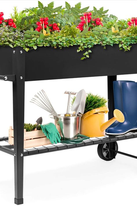 Get all the benefits of a standing height plant bed with the mobility of a cart. #spring #springtime #garden #gardening #gardeningisnotcancled #outdoor #outdoors #outdoorliving #outdoorlife #plants Raised Garden Beds Planting, Patio Garden Bed, Vege Garden, Metal Garden Beds, Elevated Planter Box, Elevated Gardening, Raised Planter Beds, Metal Raised Garden Beds, Planter Garden