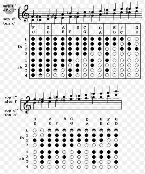 Flute Fingering Chart, Recorder Fingering Chart, Recorder Notes, Teaching Music Theory, Tin Whistle, Music Tabs, Recorder Music, Easy Guitar, Learn Music