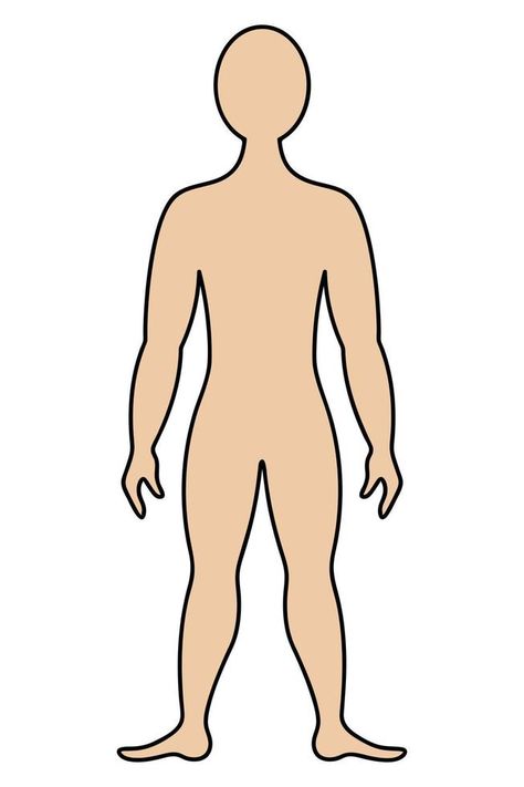 The human body. Color vector illustration. Muscular man in full growth. Unknown person. Isolated background. Cartoon style. Medical theme. Idea for web design Unknown Person, Baby Development Activities, Medical Theme, Muscular Man, Background Cartoon, Development Activities, Baby Development, Muscular Men, Color Vector