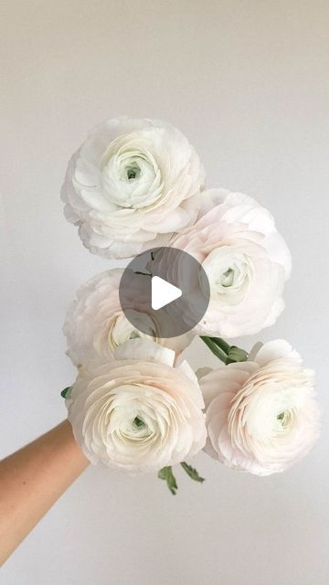 Lizzie | Utah + Destination Wedding Florist on Instagram: "The natural design behind a ranunculus makes it so beautiful, but also unstable. A large bloom head with a narrow, hollow stem allows for the most hydration-- oh, and also breaking, snapping, drooping, etc. By wiring every ranunculus, the risk of breakage is reduced SO MUCH and can now be used in any bouquet, vase, or install without any worry.  There are multiple other methods of wiring ranunculus that I have seen others use and that I use when you get a really wonky stem shape, but these two methods are my most common practice when wiring this beautiful flower🌿  The are only a couple differences in efficacy between the two methods: ✨Method 1 uses a lot less wire, but requires more precision in avoiding poking holes in the stem o Ranunculus Bouquet Wedding, Ranunculus Wedding Bouquet, Ranunculus Wedding, Ranunculus Bouquet, Carnation Bouquet, Bouquet Vase, Utah Bride, Natural Design, Utah Weddings