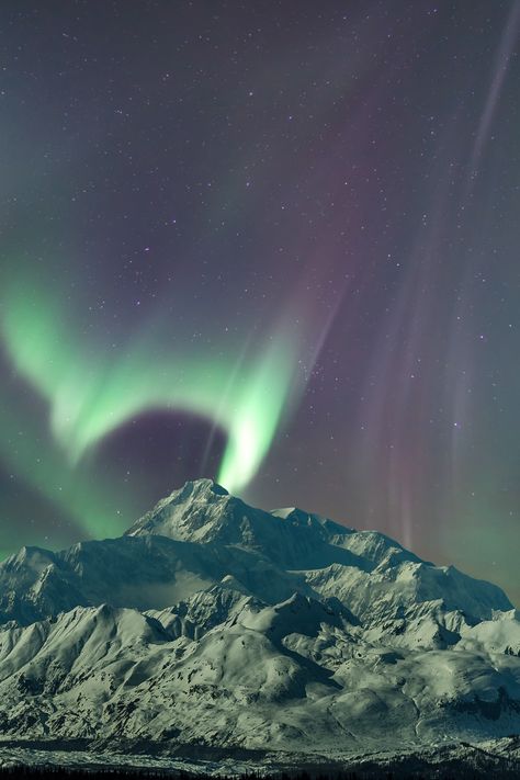 Moonlit Northern lights over Denali in Alaska. [OC] [3696x5545] Click the link for this photo in Original Resolution. If you have Twitter follow twitter.com/lifeporn5 for more cool photos. Thank you author: http://bit.ly/37Bp3jW Broadcasted to you on Pinterest by pinterest.com/sasha_limm Have The Nice Life! Alaska Landscape Photography, Northern Lights In Alaska, Life In Alaska, Alaska Lights, Alaska Forest, Northern Lights Alaska, Alaska Nature, Alaska Landscape, Alaska Life