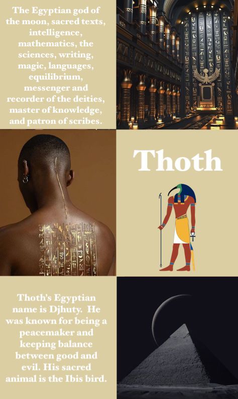 Thoth God Wallpaper, Thoth Egyptian God Aesthetic, Egyptian Paganism, Egypt Quotes, Egypt Quote, Thoth Egyptian God, Thoth God, Egyptian Pantheon, Spiritual Center