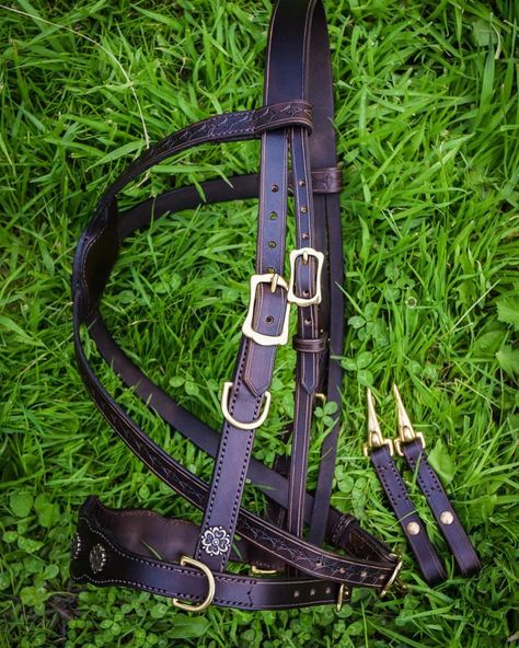 🦄Celtic Leatherwork (Lisa)🦄 on Instagram: “Some more details of this bridle 💗 #customleatherwork #customorder #custommade #customgoods #leathergoods #horsetack #customtack #tack…” Horse Items, Dressage Bridle, Custom Leather Work, Bitless Bridle, Horse Equipment, Horse Bridle, Bridles, Horse Stuff, Horse Tack