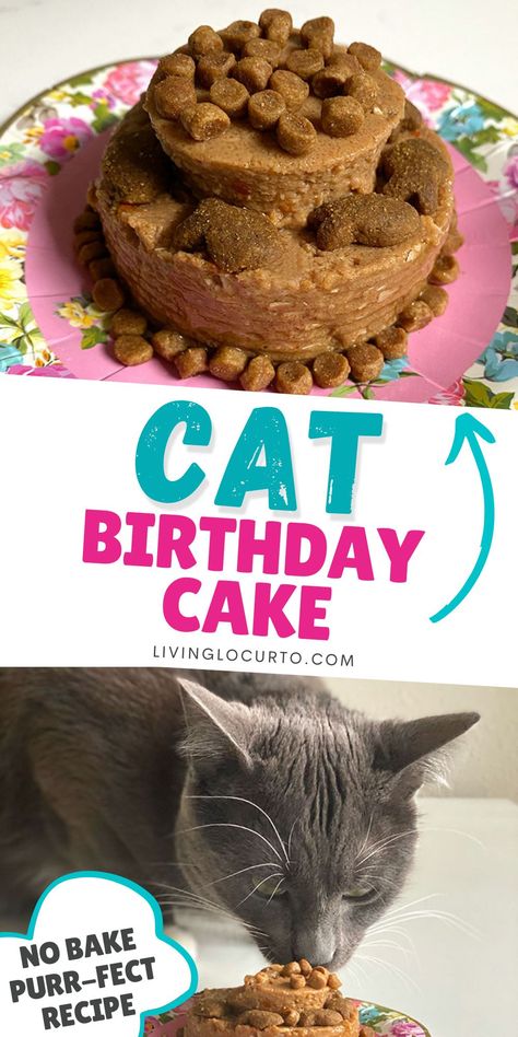 Homemade Cat Birthday Cake, Cat Cakes For Cats, Cat Desserts For Cats, Cat Birthday Cake Recipe, Cat Birthday Treats, Cakes For Cats To Eat, Birthday Cakes For Cats To Eat, Cat Birthday Cake For Cats Recipe, Cake For Pets