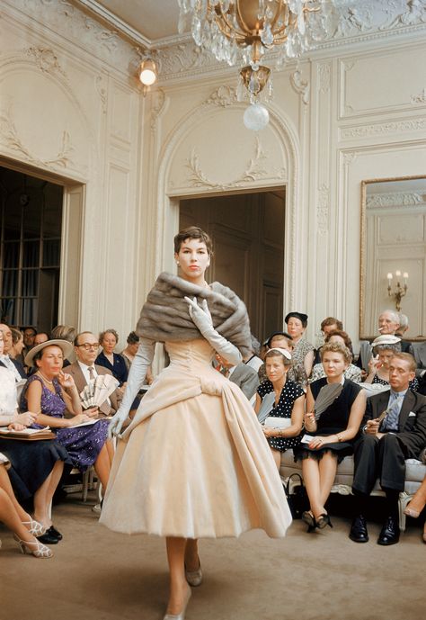 Istoria Modei, Glamour Vintage, Dior Collection, Fifties Fashion, Dior Vintage, Fashion 1950s, Look Retro, Dior Haute Couture, Dior Fashion