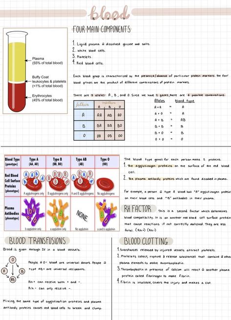 Learn Biology, Nursing School Essential, Nurse Study Notes, Nursing Schools, Medical Student Study, Medical Laboratory Science, Nursing School Survival, Study Flashcards, Nursing School Studying