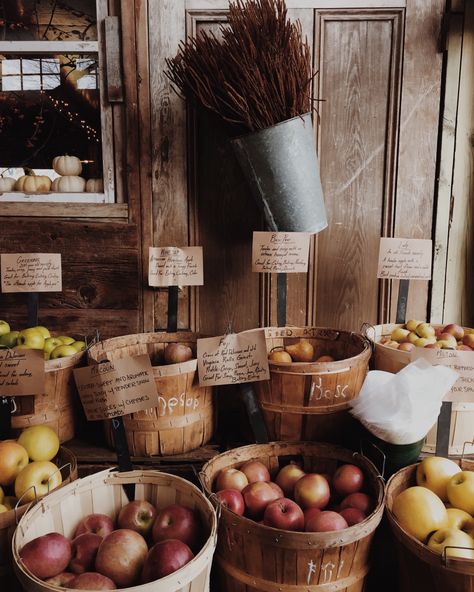 bounty Basket Aesthetic, Apple Picking Outfit, Halloween Chic, Apple Season, Apple Picking, Best Seasons, Autumn Cozy, Autumn Aesthetic, Fall Harvest