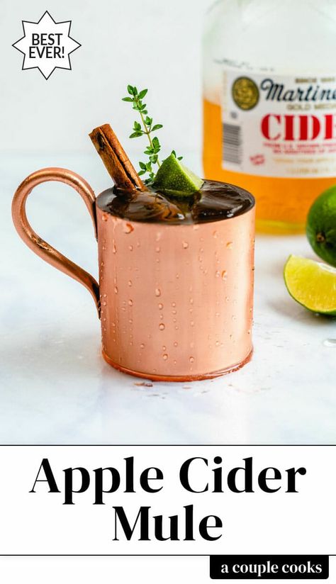 This apple cider mule is an easy, festive fall cocktail! This seasonal spin on the Moscow mule features cider and ginger beer. #fall #fallcocktail #falldrink #moscowmule #applecidermule #cidermule #mule #drink #fall Fall Themed Drinks, Girls Night Drinks Cocktails, Vodka Apple Cider, Apple Cider Mule, Cider Mule, Mule Drink, Seasonal Cocktails, Apple Cider Drink, Holiday Party Drinks