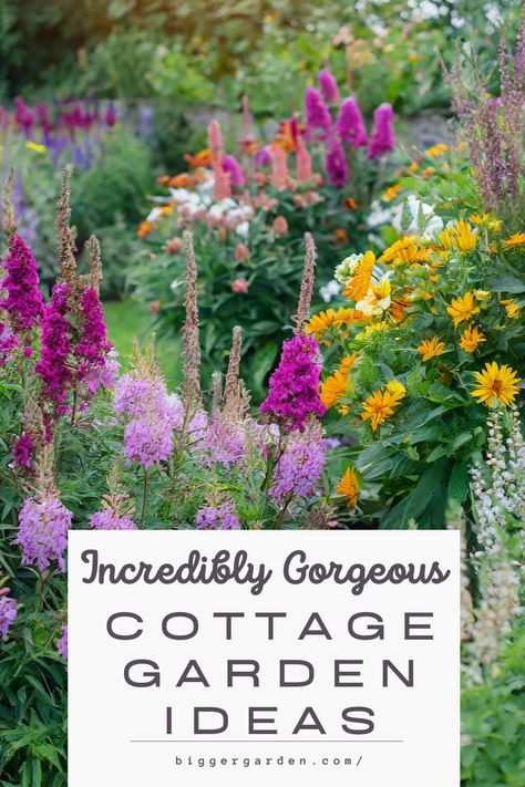 Make Your Garden Charming by Enhancing The Charm Of Cottage Gardens With These 9 Ideas. Cottage Garden Planting, Country Cottage Front Garden, Cottage Flowers Garden, Cottage Gardens Front Yard, Full Sun Cottage Garden, English Cottage Garden Front Yard, English Cottage Style Garden, Cottage Garden Design Farmhouse, English Cottage Garden Design Layout