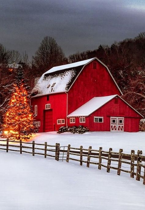 Horse Magazine, Barn Pictures, Country Barns, Barn Painting, Barn Art, Rural Scenes, With Christmas Tree, Winter Scenery, Red Barns