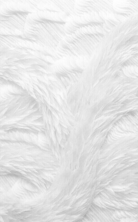 Rip Background, Fur Background, Baby Photography Backdrop, Feather Background, Feather Texture, Monthly Baby Photos, Paper Background Design, Fur Texture, Paper Background Texture