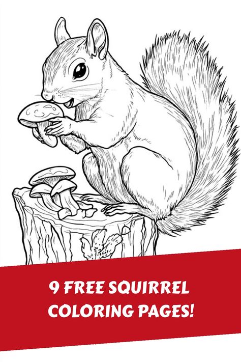 Grab these free Printable Squirrel coloring pages! These cute Squirrels are the perfect activity for kids, and grownups, on those chilly Autumn days! Squirrel Drawing, Squirrel Coloring Page, Happy Squirrel, Squirrel Art, Vintage Coloring Books, Squirrel Funny, Bunny Coloring Pages, The Graphics Fairy, Free Coloring Sheets