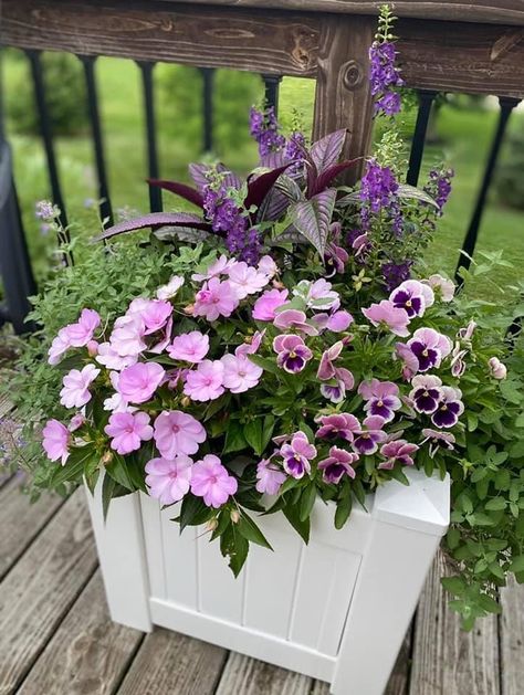 Central Ohio, July 20. By Julie Keevans; vF 2-15-22 Avatar Garden, Full Sun Container Plants, Summer Planters, Garden Palette, Patio Flower Pots, Small Tropical Gardens, Planter Arrangements, Mom Flowers, Summer Planter