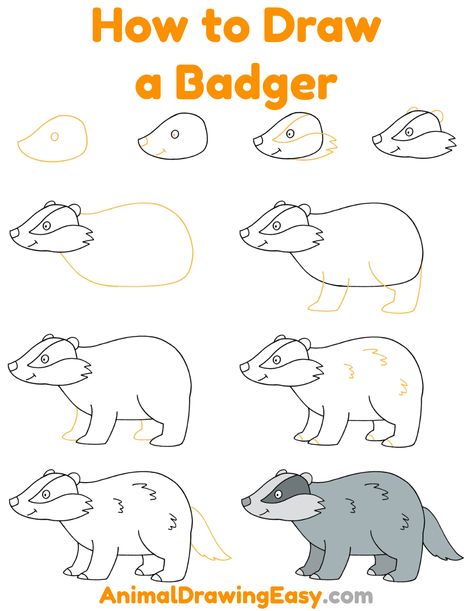 How to Draw a Badger Step by Step #StepbyStep #StepbyStepDrawings #Draw #Sketch #Sketching #AnimalDrawings #Cute #CuteAnimals #Badger #CuteBadger #BadgerDrawing #HowtoDrawaBadger #EasyAnimalDrawing How To Draw A Badger Step By Step, Cute Honey Badger Drawing, How To Draw A Badger, Badger Drawing Easy, Badger Doodle, Cute Badger Drawing, Badger Drawing, Badger Art, How To Draw Abs