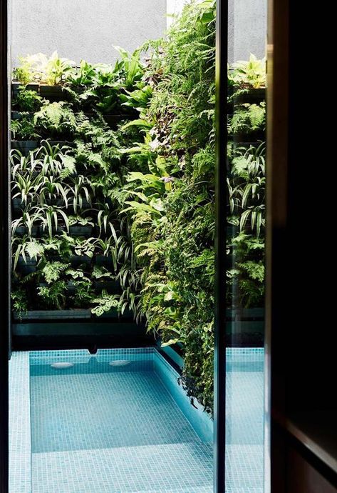 my scandinavian home: 10 Small Pools For Every Budget and Outdoor Space Patio Chico, Pools For Small Yards, Townhouse Garden, Round Pool, Small Pool Design, Small Courtyards, Small Pools, Building A Pool, Small Pool