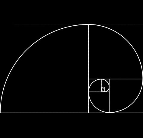 Fibonnaci Sequence Tattoo, Fibanocci Sequence Tattoos, Fibanocci Sequence, The Fibonacci Sequence, Fibbonaci Sequence Art, Fibbonaci Sequence Nature, Fibonacci In Architecture, Fibonacci Indicator, What Is Character