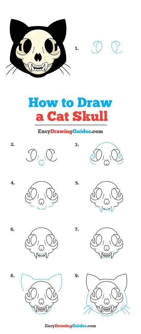 How To Draw Animal Skulls Step By Step, Cute Cat Skull Drawing, Lion Skull Sketch, Cat Skull Reference Drawing, Cat Skull Tattoo Simple, How To Draw A Cat Skull, Chibi Cat Drawing Tutorial, Cat Skull Drawing Simple, Cat Skull Outline