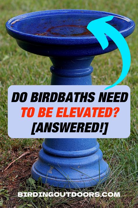 Bird Bath Stand Ideas, Diy Bird Bath Stand, Bird Bath Base Ideas, Painted Concrete Bird Bath, Natural Bird Bath Ideas, Home Made Bird Bath Ideas, Garden Bird Bath Ideas, Repurpose Bird Bath, Diy Birdbath Ideas Simple