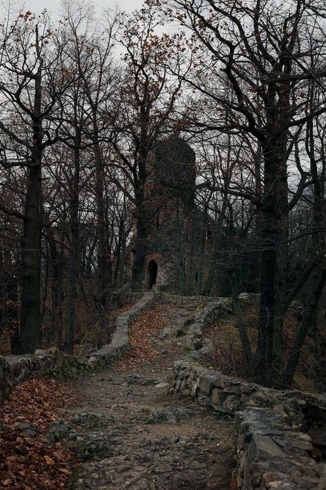 Dark Naturalism, Dark Castle, Castle Aesthetic, Dark Academia Aesthetic, Matte Painting, West Village, Dark Places, Dark Forest, Fantasy Landscape