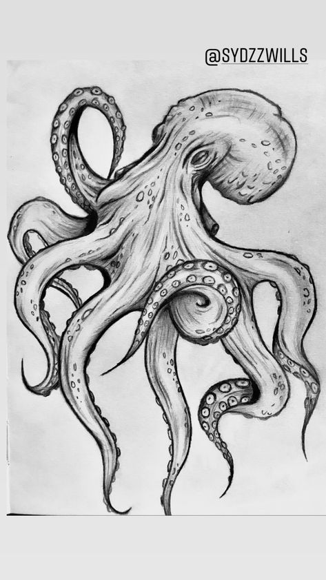 Okhtapos Tattoo, Octopus Drawing Pencil, Kraken Tattoo Design Drawings, The Kraken Drawing, Octopus Sketch Drawings, See Creatures Drawing, Octopus Pencil Drawing, Octopus Drawing Reference, Sea Creatures To Draw