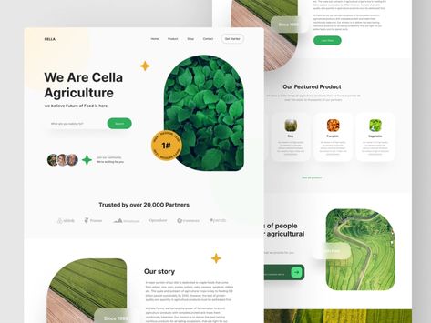 Ayurvedic Website Design, Farm Web Design, Eco Friendly Website Design, Farming Website Design, Farm Website Design Inspiration, Eco Website Design, Agriculture Website Design, Farm Website Design, Grid Layout Website