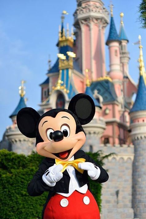 Disney Castles, Disney Parque, Disney Best Friends, Minnie Mouse Pictures, Moral Stories For Kids, Disney World Characters, Cute Disney Pictures, Disney Photography, Disney Phone Wallpaper