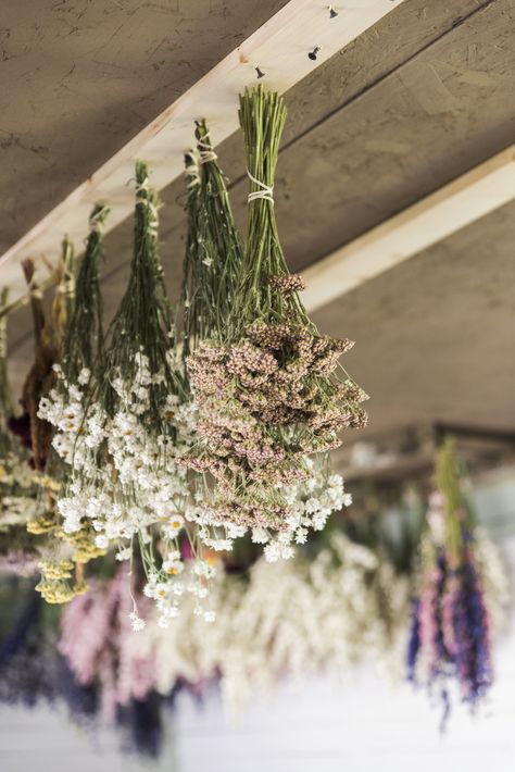 Dried Wild Flowers, Best Dried Flowers, Dried Flowers Wreath, Flower Drying Rack, Hanging Dried Flowers, Drying Flowers, Dried Flowers Diy, Victorian Flowers, Dry Plants