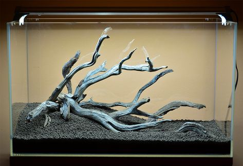 Tanaman Air, Fish Aquarium Decorations, Aquascape Design, Aquarium Driftwood, Aquarium Landscape, Fallen Tree, Nature Aquarium, Aquascape Aquarium, Driftwood Decor