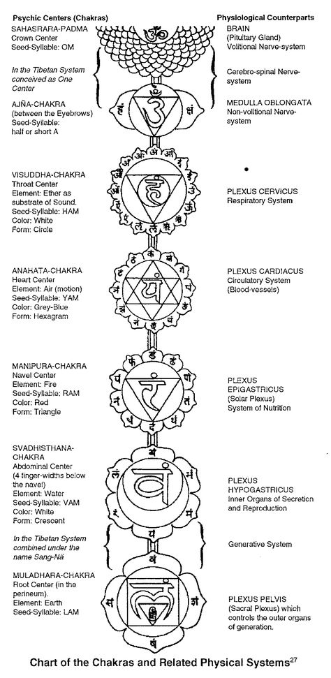 Chakra system & glands Sacred Geometry Chakra, Chakra Painting, Wiccan Books, Chakra Tattoo, Manipura Chakra, Libra Tattoo, Sign Language Words, Chakra Healing Stones, Chakra Affirmations