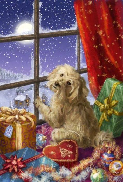 Štědrý Den, Looking Out The Window, Advocate Art, Old Christmas, Whimsical Christmas, Christmas Scenes, Noel Christmas, Merry Little Christmas, Vintage Christmas Cards