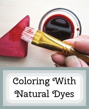 Saskatoon Recipes, Turmeric Dye, Oliver James, Natural Food Dye, Diy Wood Stain, Natural Stain Wood, Stain Wood, Kitchen Ingredients, Natural Food Coloring