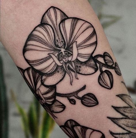 Blackwork Orchid Tattoo, Orchid Cover Up Tattoo, Dark Orchid Tattoo, Black And Grey Orchid Tattoo, Traditional Orchid Tattoo, Orchid Back Tattoo, Tattoo Botanica, Black Orchid Tattoo, Top Of Foot Tattoos