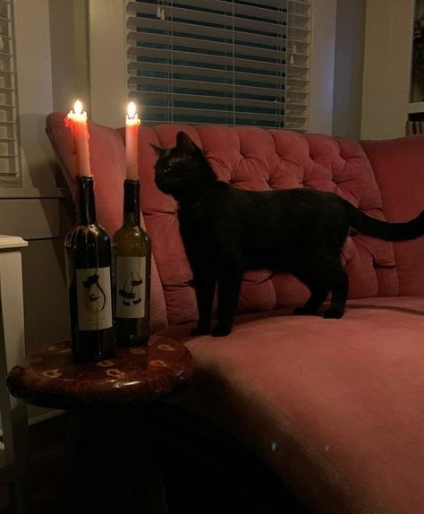 Terrence Loves You, Cherry Wine, Dark Feminine Aesthetic, A Black Cat, Brasov, Season Of The Witch, Witch Aesthetic, Feminine Aesthetic, Black Mamba