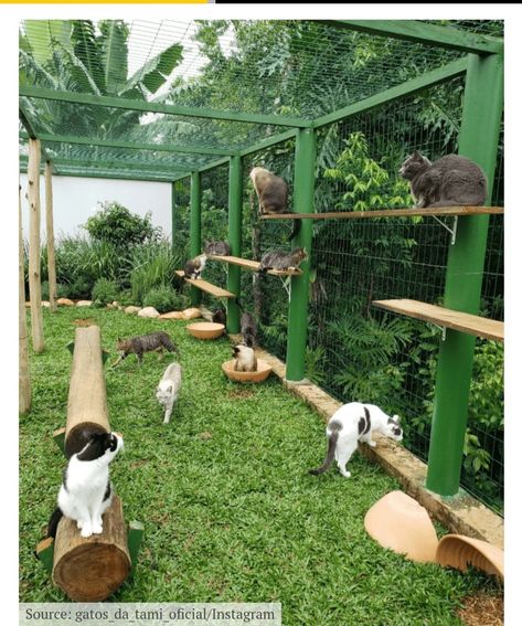 Cat House Outdoor, Diy Cat Enclosure, Catio Ideas, Katt Grejer, Niche Chat, Cat Enclosures, Cat Patio, Ideas For Cats, Cat Hotel