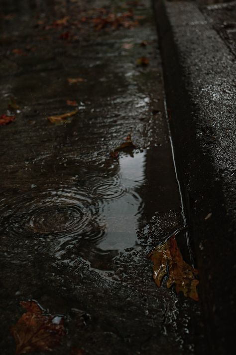 Rainy October Aesthetic, Smell Of Rain Aesthetic, Nature, Autumn Storm Aesthetic, Cozy Rainy Fall Aesthetic, Gloomy Autumn Aesthetic, Cozy Rainy Day Aesthetic Outfit, Autumn Cozy Rainy Days, Black Fall Aesthetic