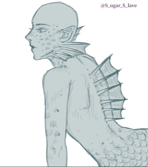 Tail Pose Reference, Cool Drawing Base, Tentacles Drawing Reference, Fish Tail Drawing, Siren Tail Drawing, Shark Drawing Reference, Mermaid Drawing Base, Mermaid Oc, Mermaid Drawing