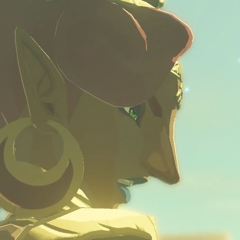 Zelda, zelda breath of the wild 2, sequel, E3, nintendo, japan, hyrule, new game, champions, landscape, beautiful, wild, Link, hero, king, princess, 2021, icon, indie, photo profile, video game, boblin, monsters, lizalfos, mipha, daruk, revali, urbosa, kakariko village, master sword, cry, emotional Urbosa Aesthetic, Botw Icons, Urbosa Botw, Lady Urbosa, Indie Photo, Silence Speaks Volumes, Kakariko Village, Prince Sidon, Profile Video