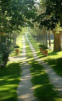 Driveway Entrance Landscaping, Farm Entrance, Vineyard House, Driveway Entrance, Driveway Landscaping, Castle Garden, Country Side, Foto Art, French Countryside