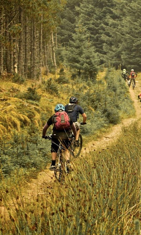 UK natural mountain biking Mountain Bike Wallpaper, Diamondback Mountain Bike, Natural Mountain, Bike Wallpaper, Hardtail Mountain Bike, Mtb Trails, Cycling Quotes, Road Bike Women, Mtb Bike Mountain