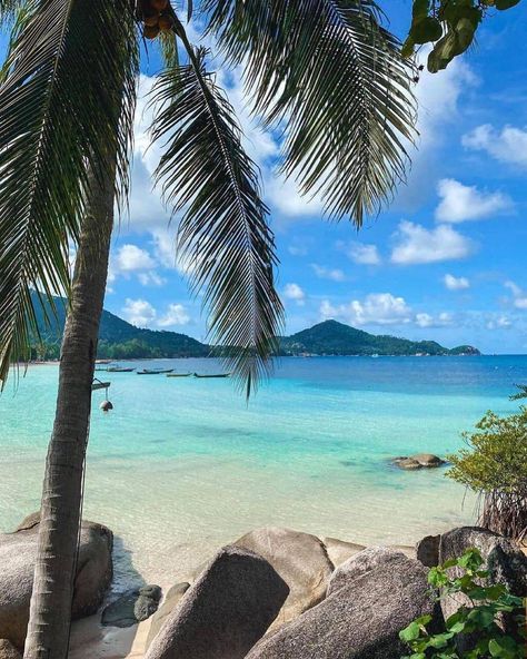 Sairee Beach Koh Tao or it's often called Sairee Beach is located in Koh Pha-Ngan, Surat Thani 84280, Thailand. Thailand Pics, Koh Samui Beach, Surat Thani, Visit Asia, Koh Chang, Thailand Beaches, Full Time Travel, Best Sunset, Korea Travel